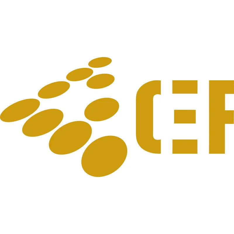 Logo de CEF Valencia